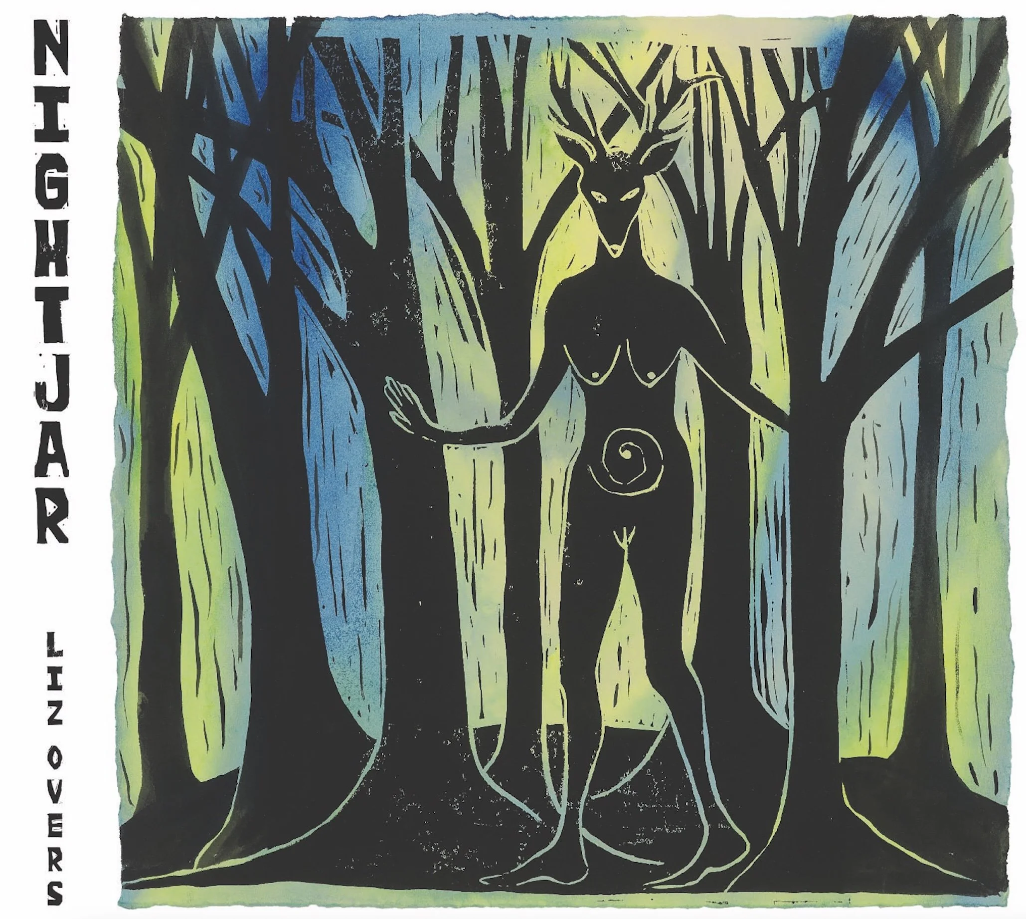 Liz Overs - Nightjar.JPG