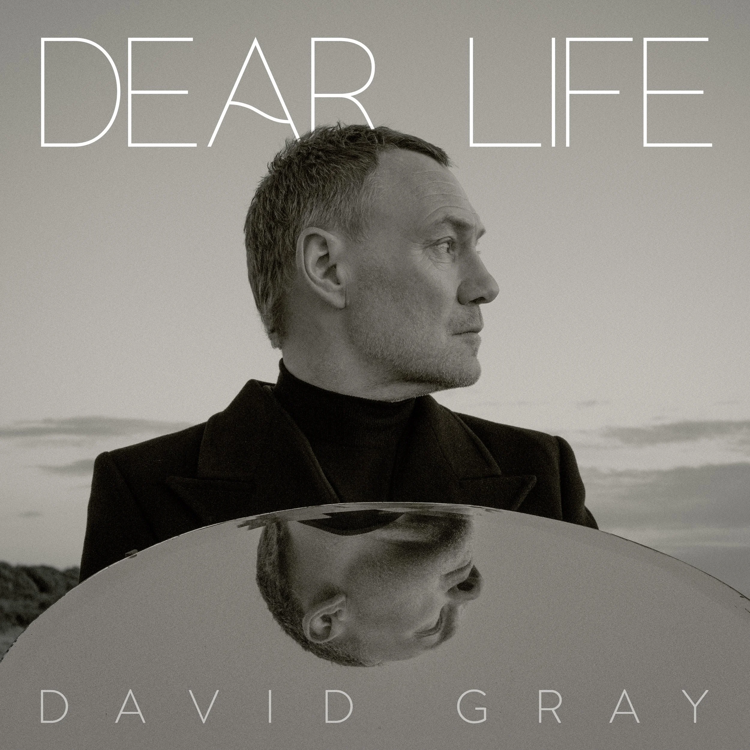 David Gray - Dear Life.jpg