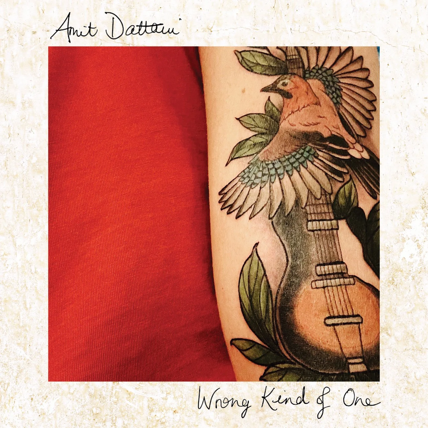 Amit Dattani - Wrong Kind of One.jpg