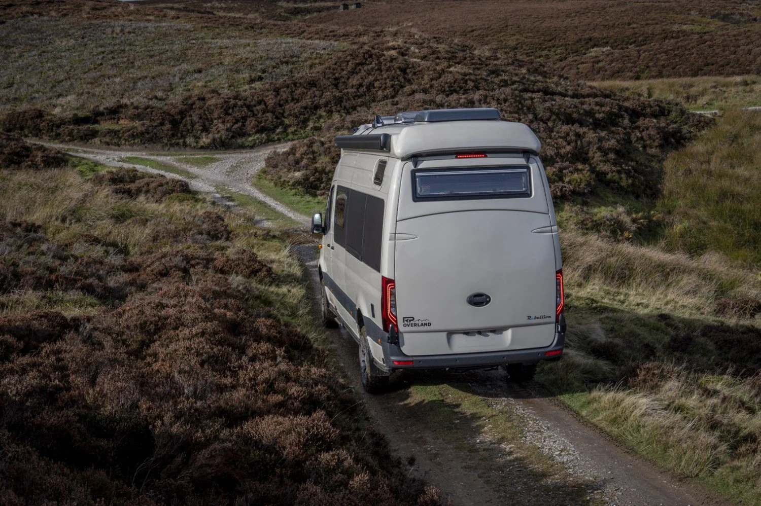 Rebellion Gallery 7.jpg