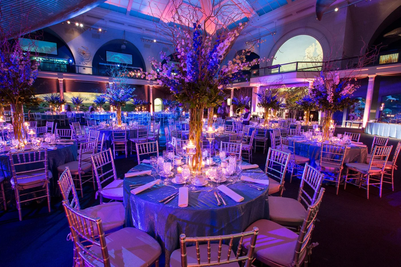 Natural-history-event02.jpg