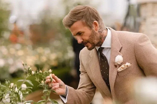 Making a read bloom: The Sir David Beckham Rose