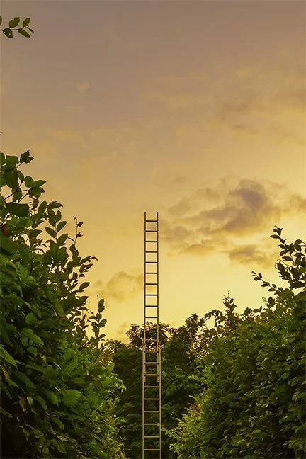 The Constant Gardener.jpg