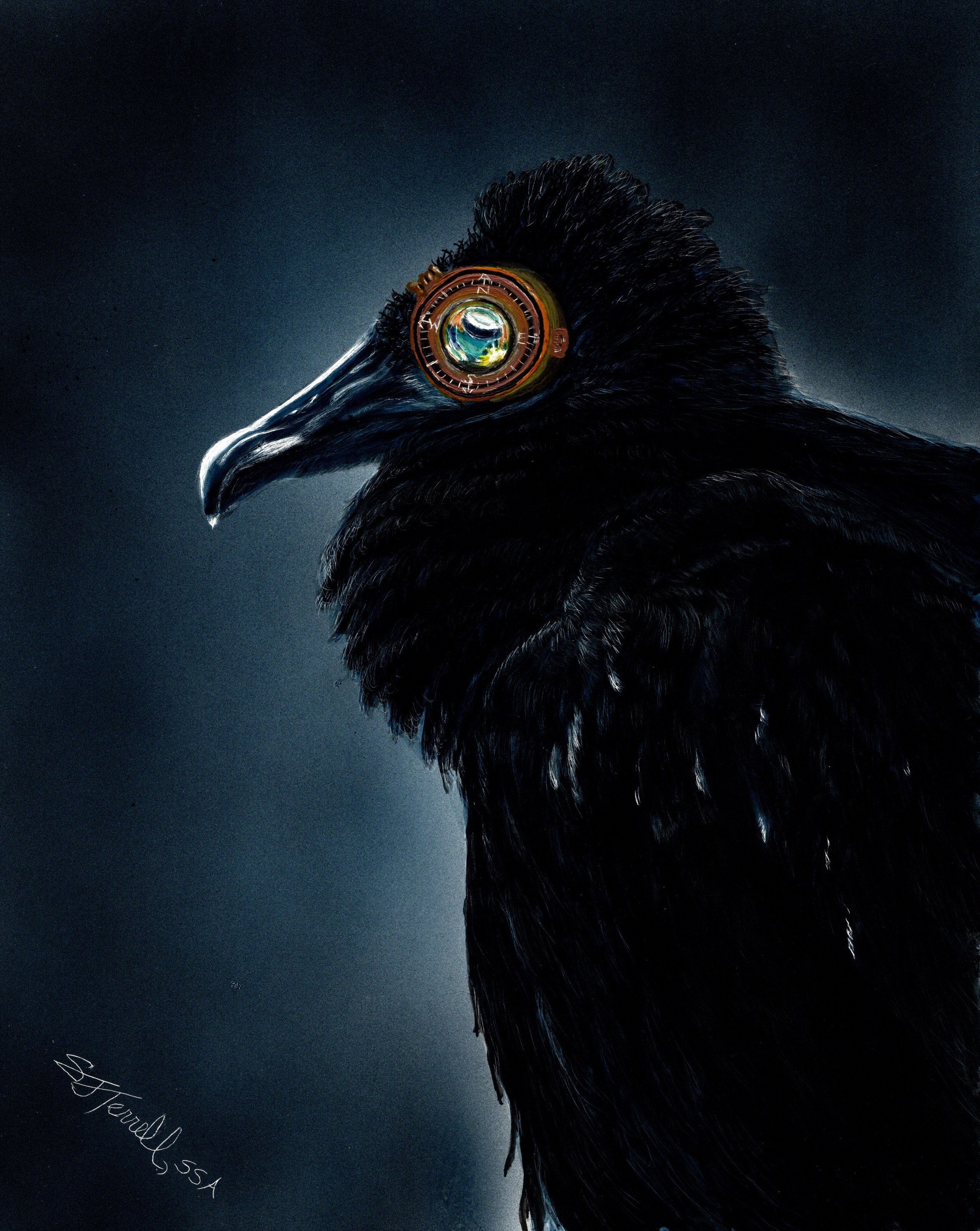 Sally Terrell scratchboard bird 