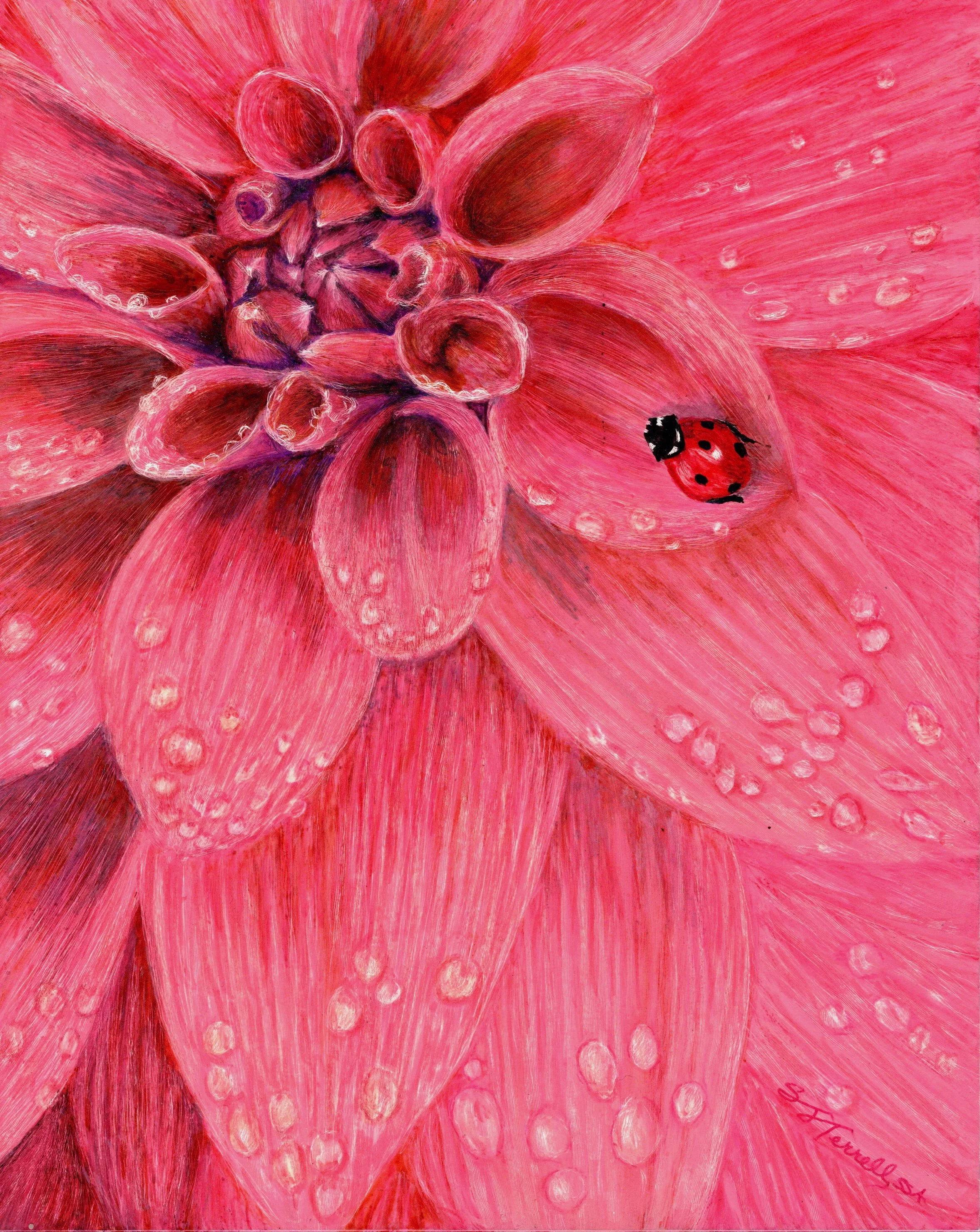Sally Terrell scratchboard pink flower with ladybug