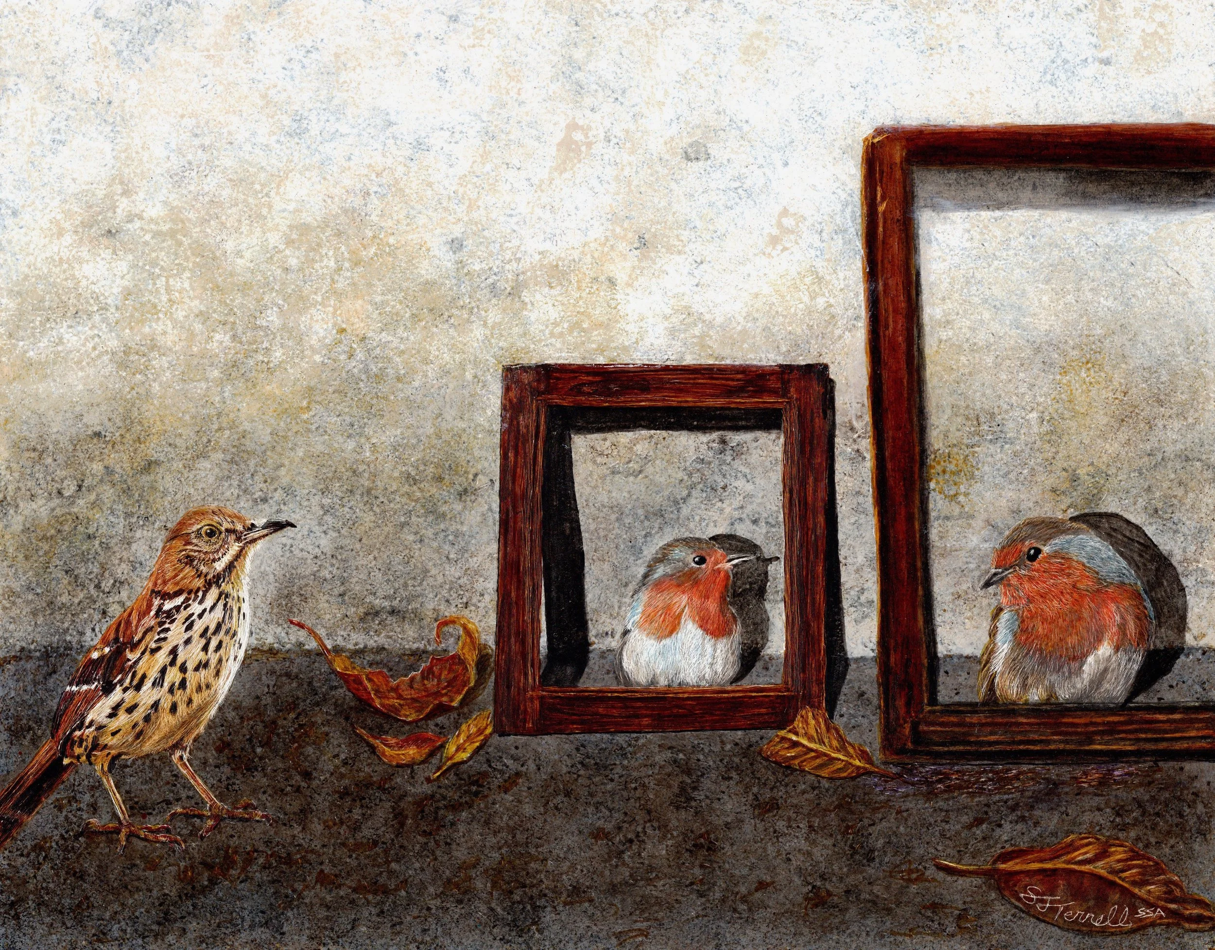 Sally Terrell scratchboard birds