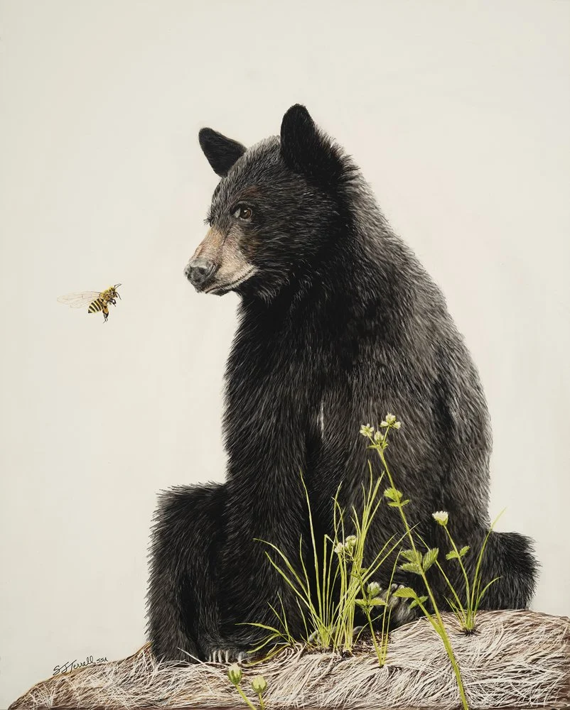 Sally Terrell scratchboard bear and bee