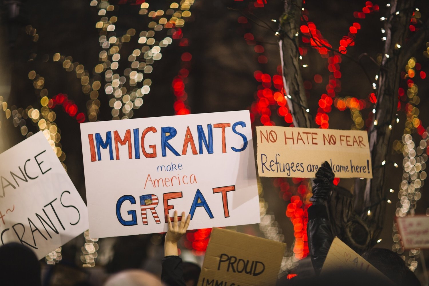 Immigration and Mental Health