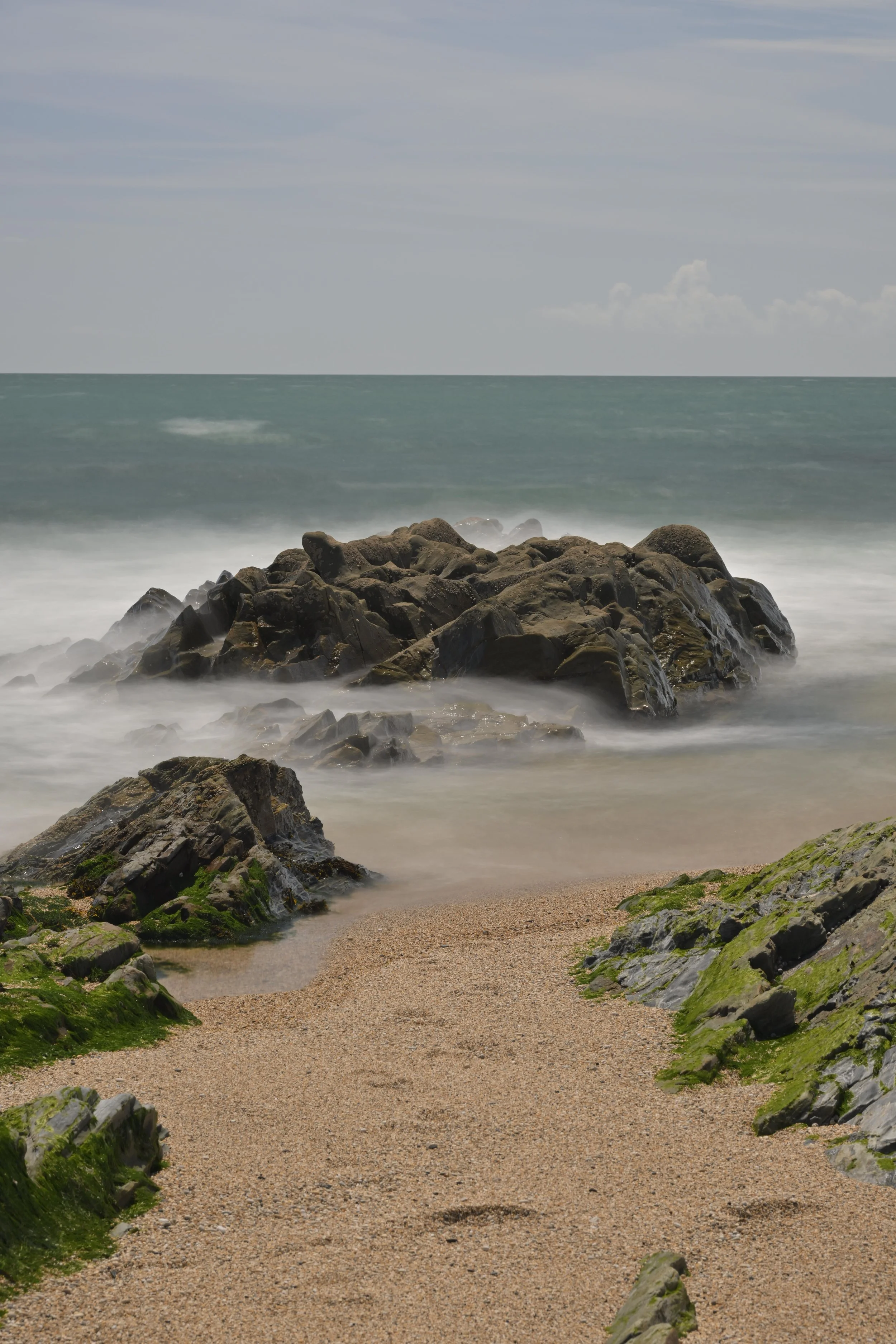 Dollar Cove LE 1.JPG