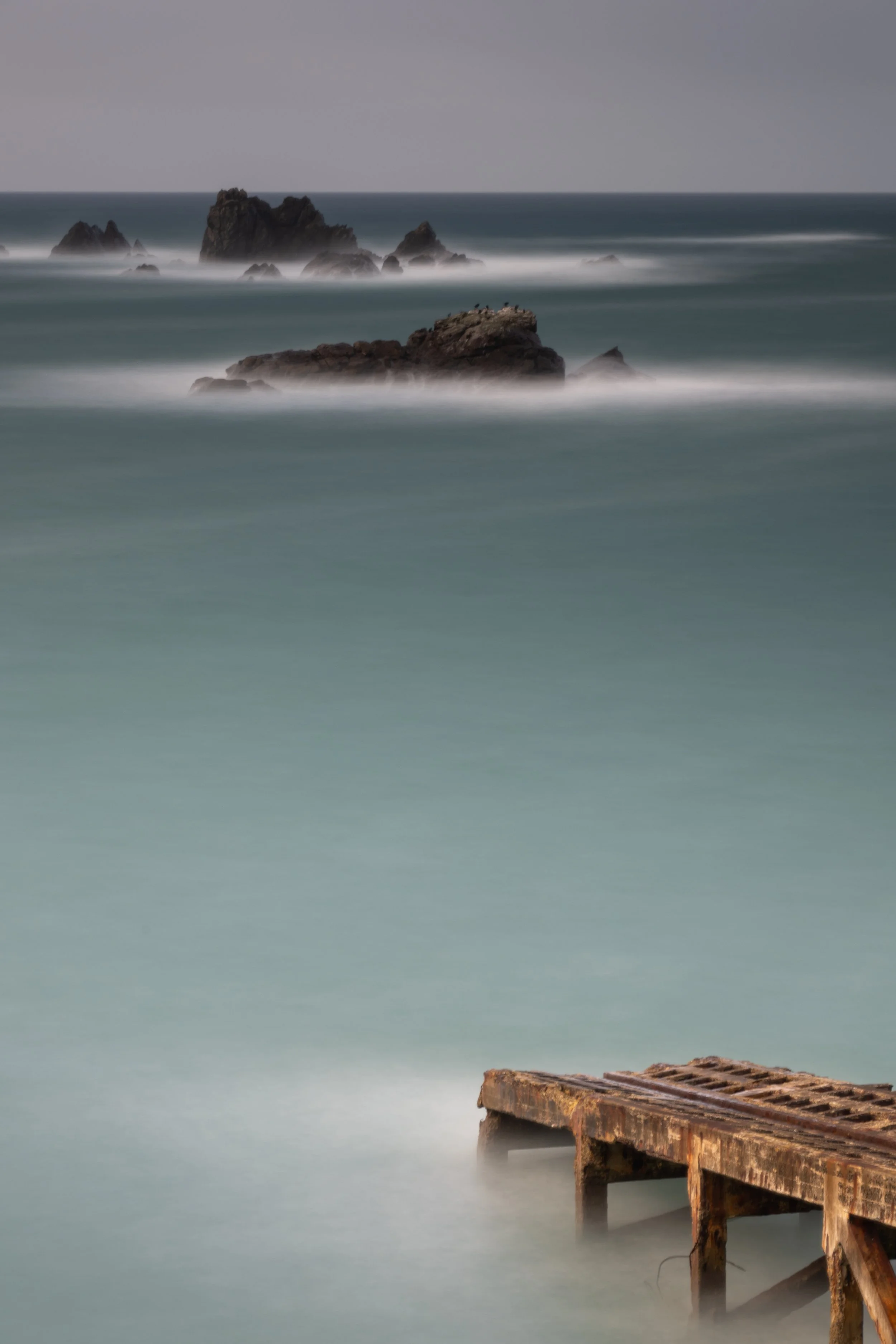 Lizard Point LE.jpg
