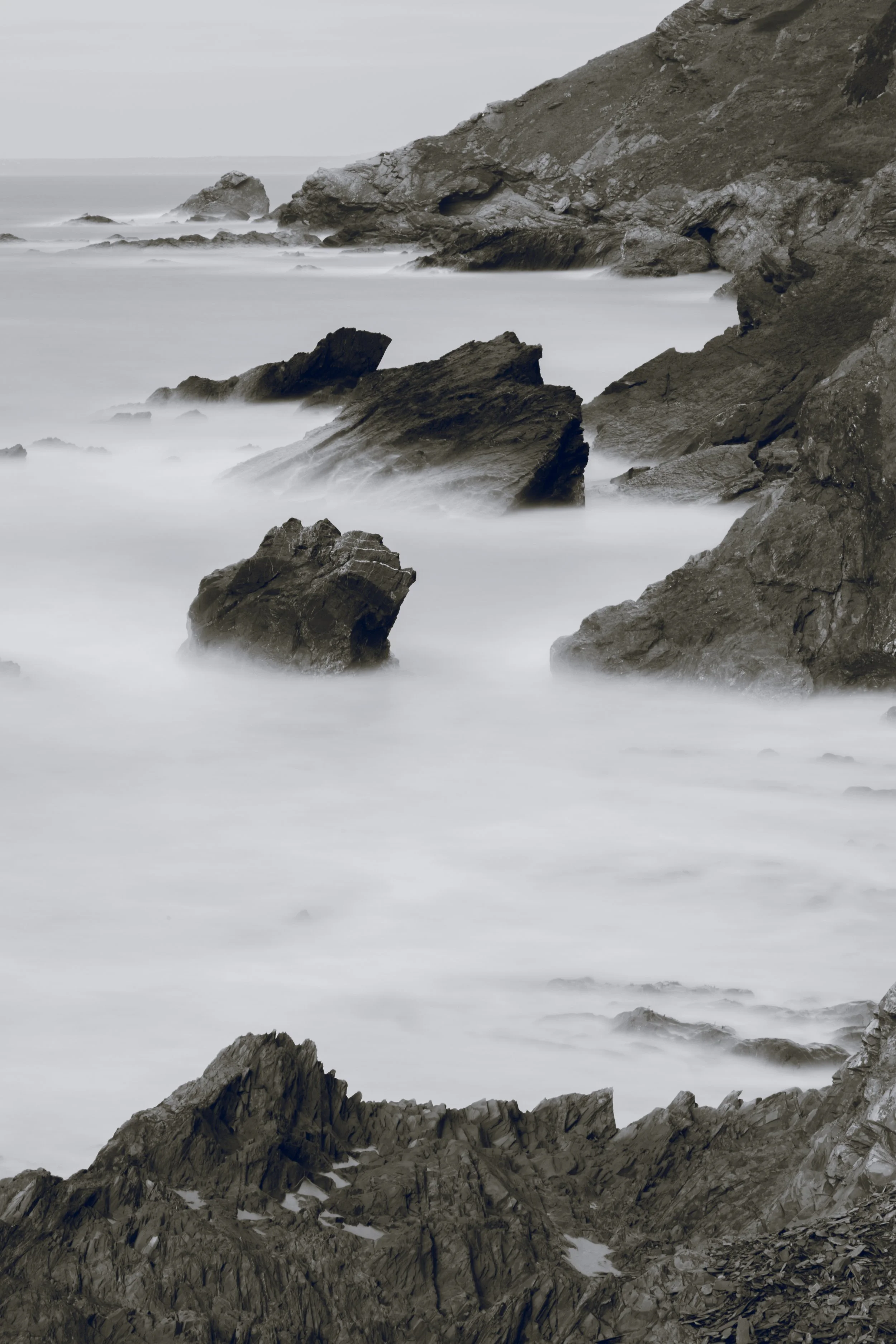 Sea Mist.jpg