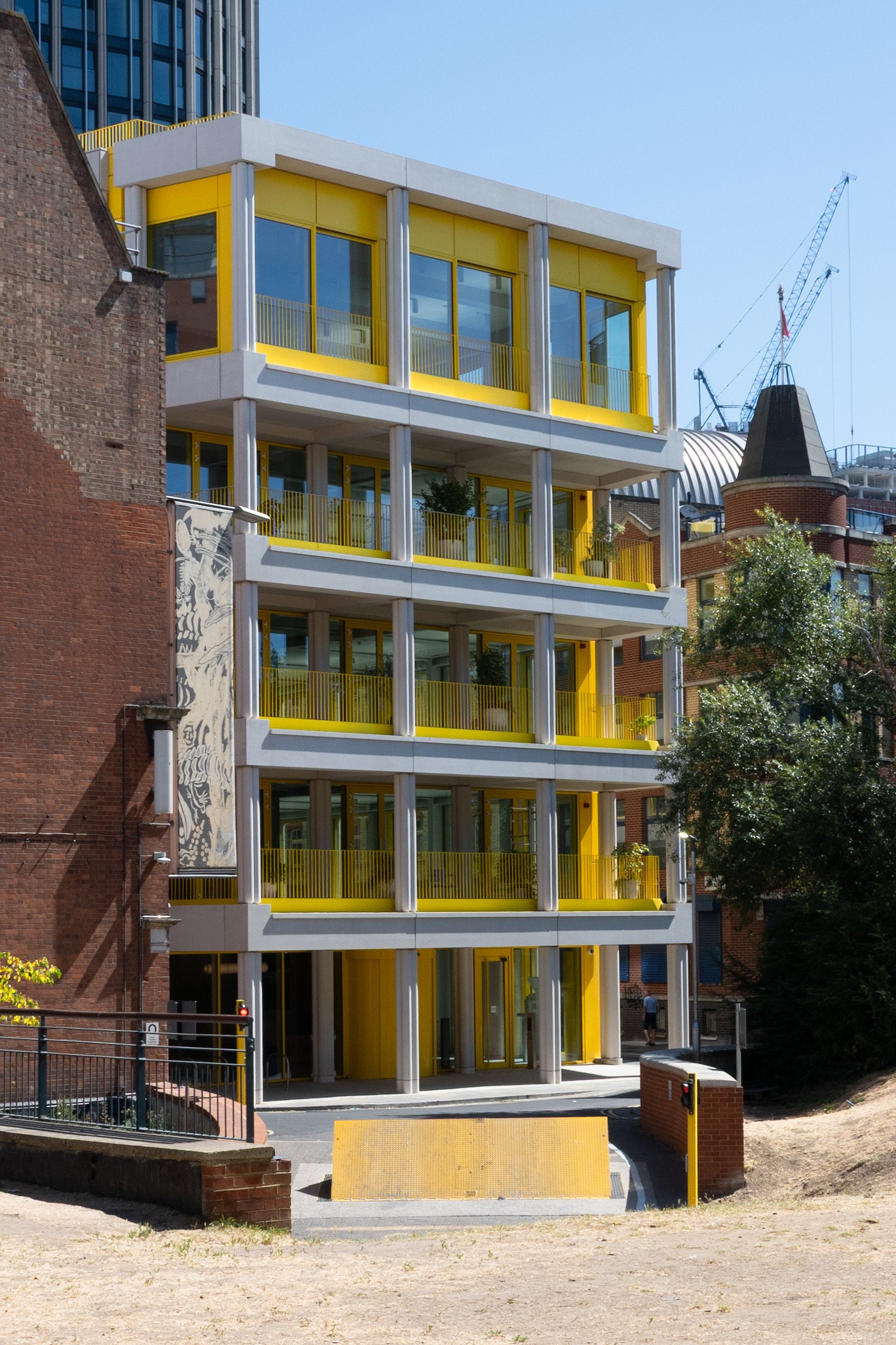Yellow 2.JPG