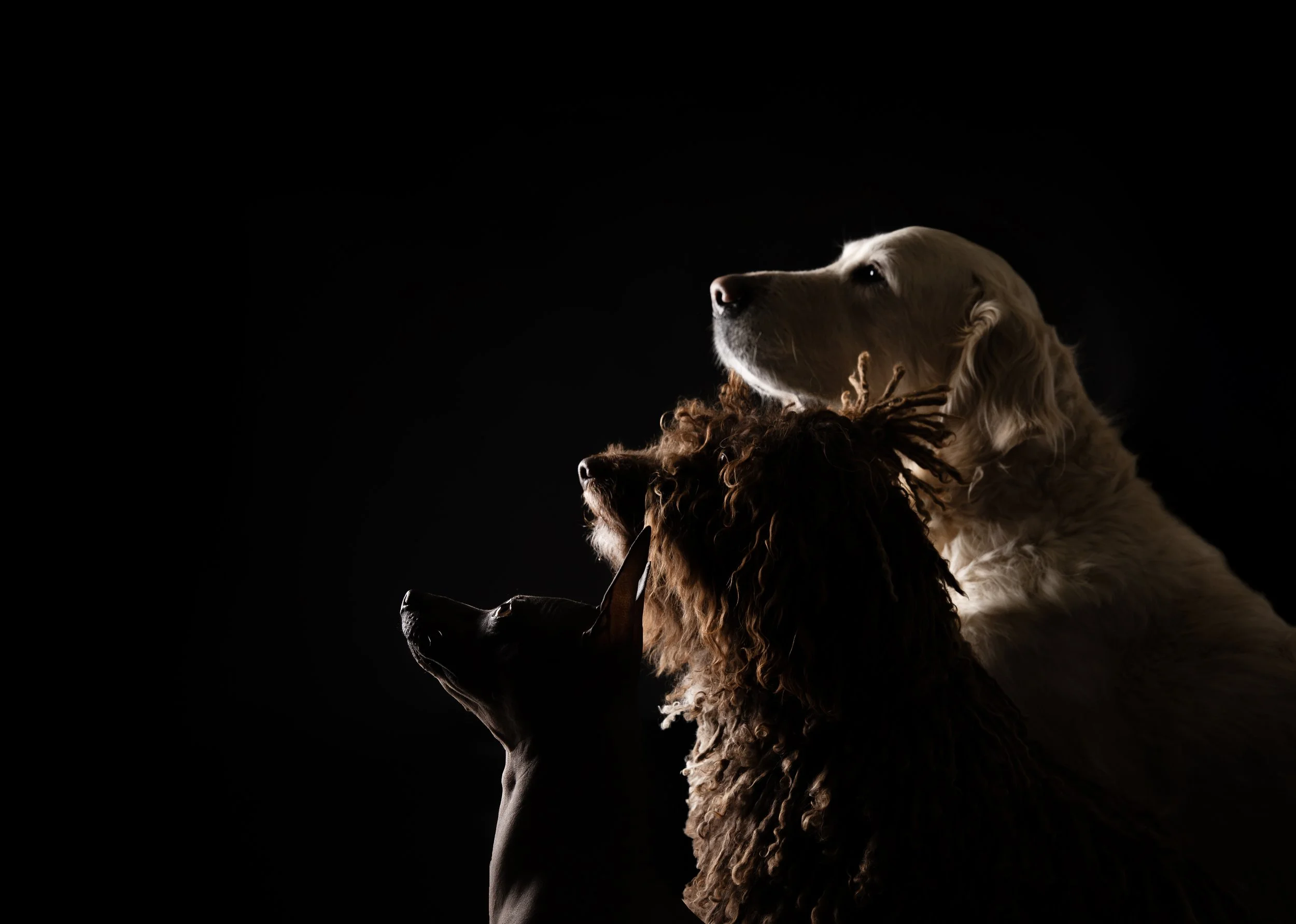 IMG_6784 copia 2.jpg