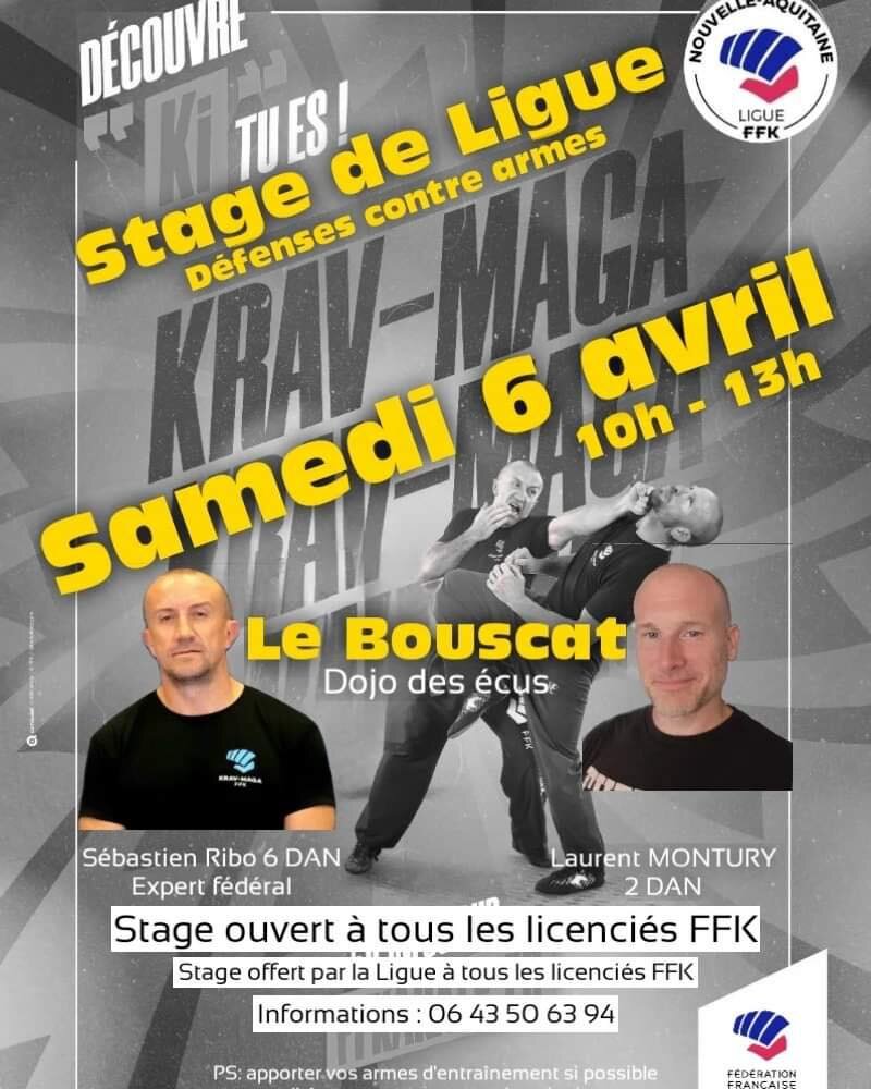 Retour sur le stage du 6 avril au Bouscat

#selfdefense 
#kravmaga 
#ffkda
#sebastienribo