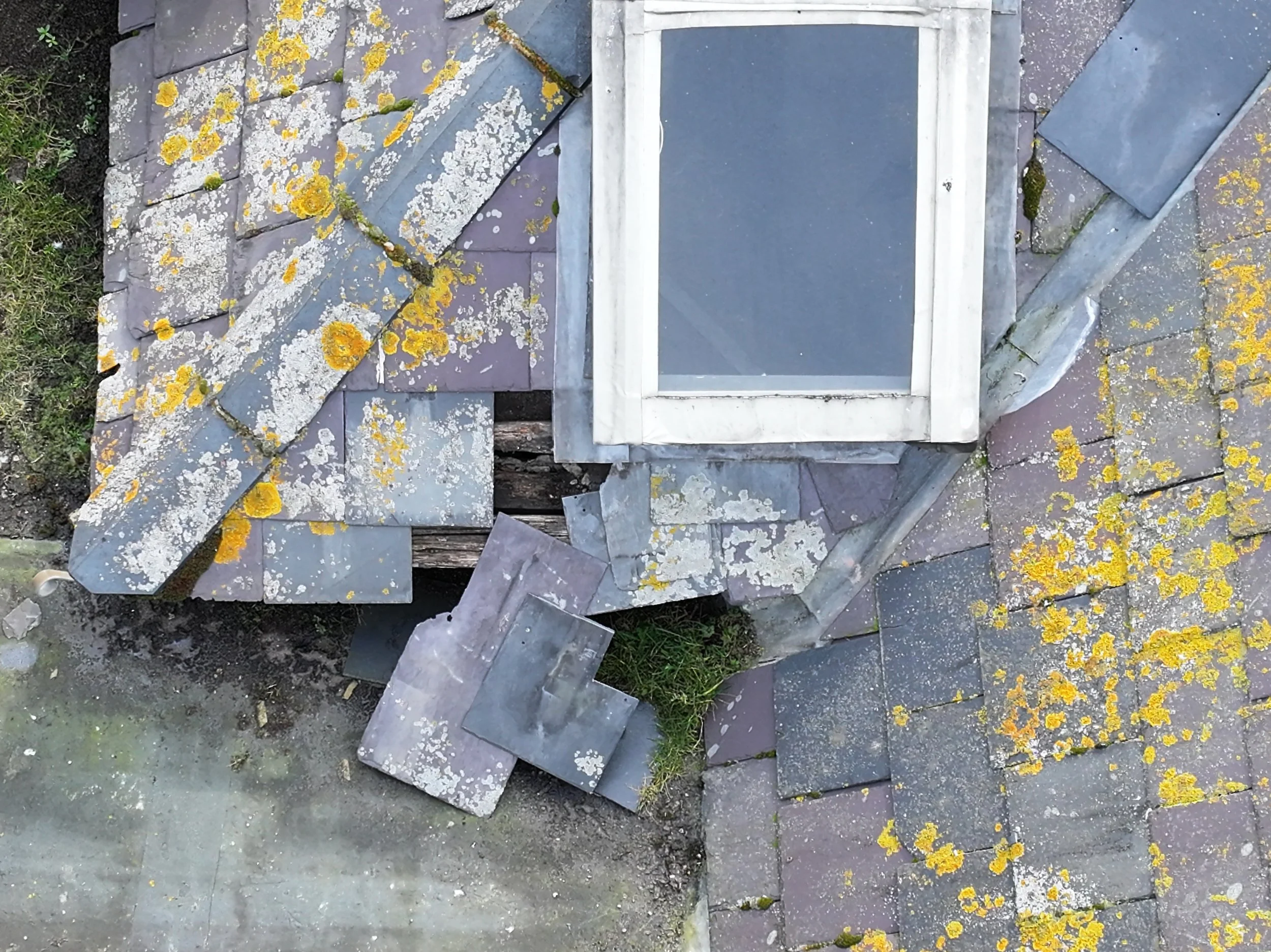 A damaged rooftop with broken shingles, some covered in yellow and white lichen, and a window with a white frame. The shingles are purple and gray, with some displaced or broken.