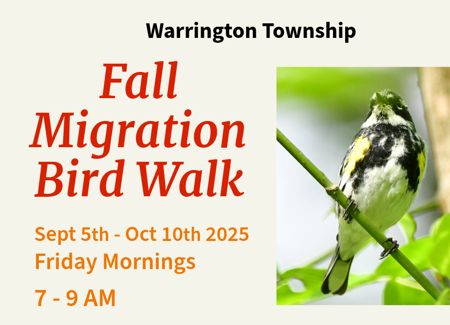 Warrington Fall Migration Bird Walk