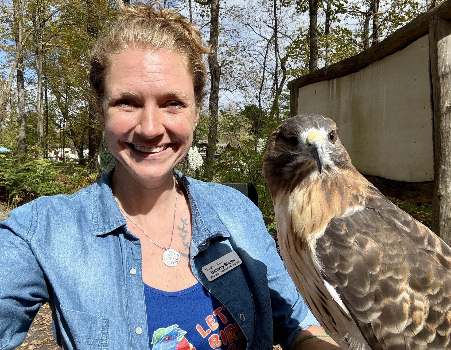 February Meeting with Bethany Sheffer on Chimney Swifts 