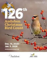 Central Bucks Christmas Bird Count