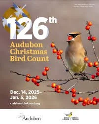 Lower Bucks Christmas Bird Count