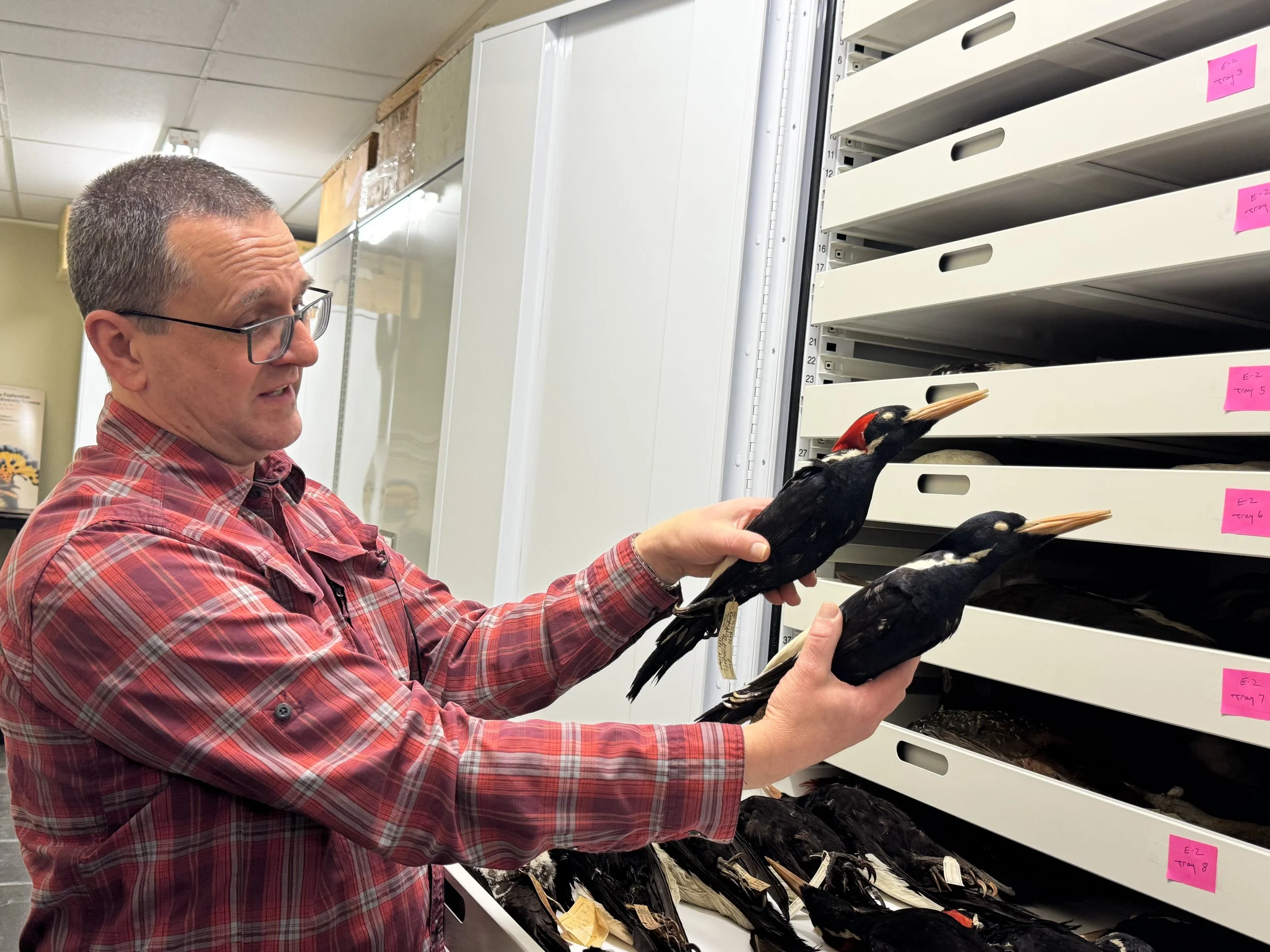 A Day Among the Dead