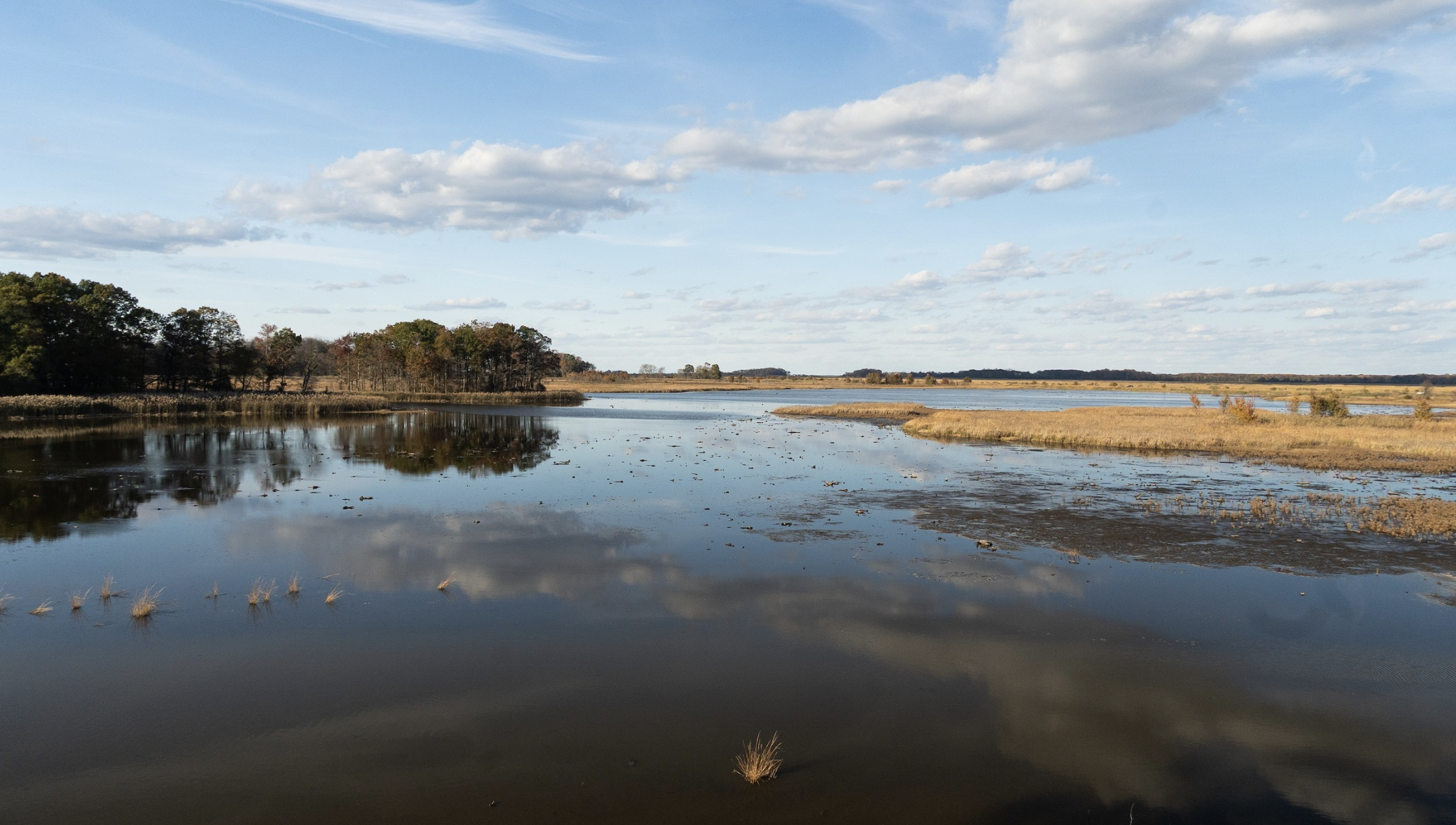 March Field Trip to Bombay Hook National Wildlife Refuge