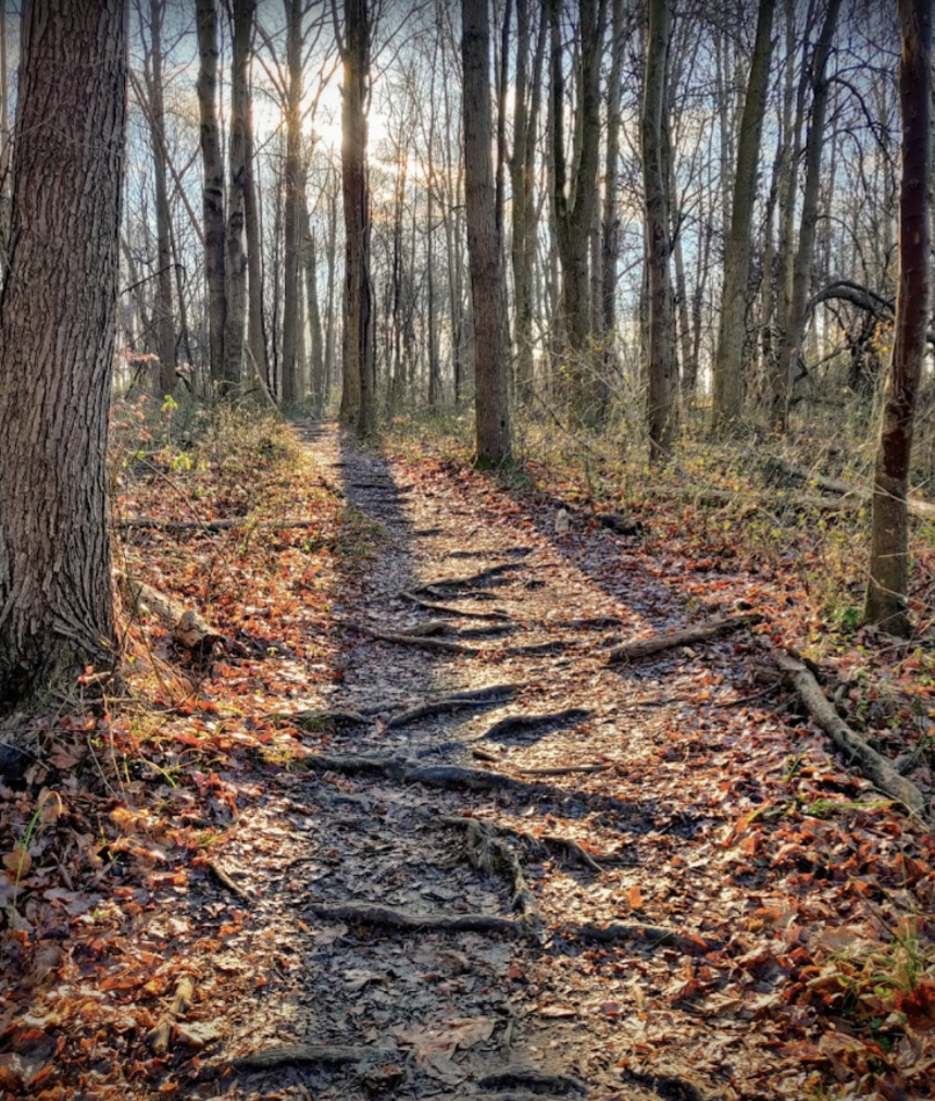Core Creek Park Winter Walk