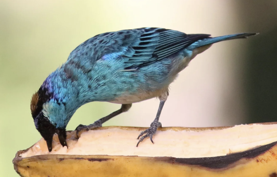 Screenshot 2026-03-16 at 8.43.28 AM.png