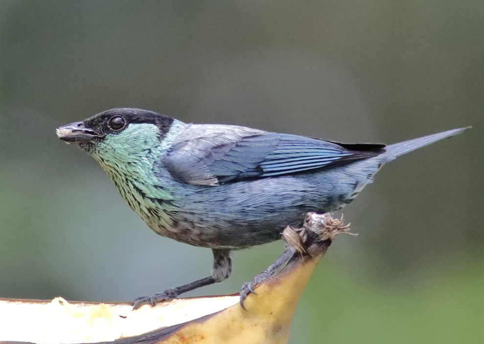 Screenshot 2026-03-16 at 8.42.24 AM.png