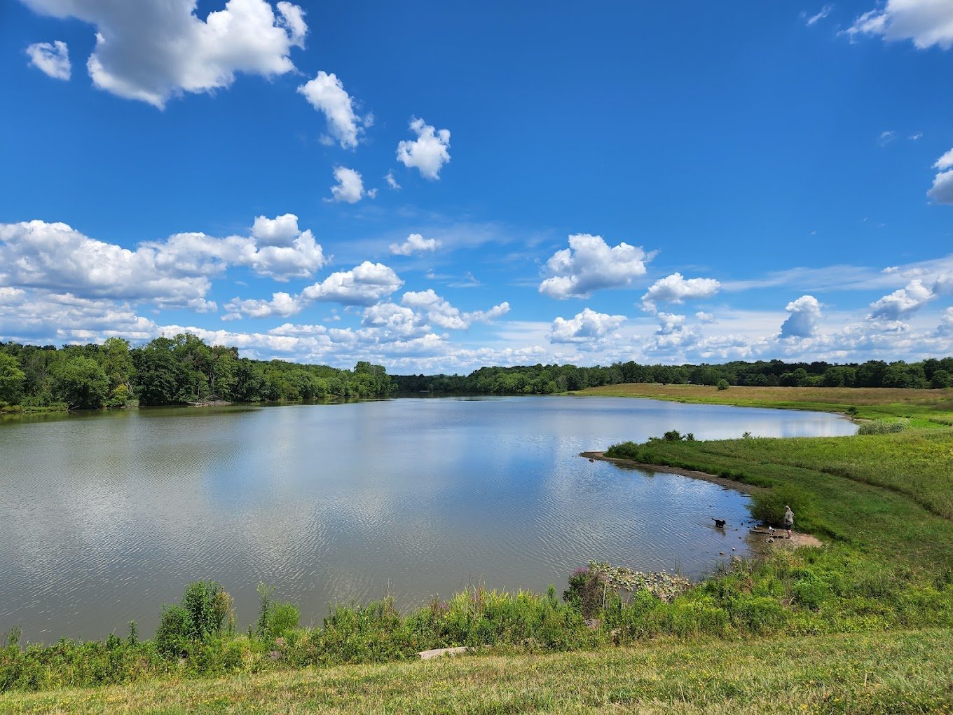 Explore Your Parks: Pine Run 
