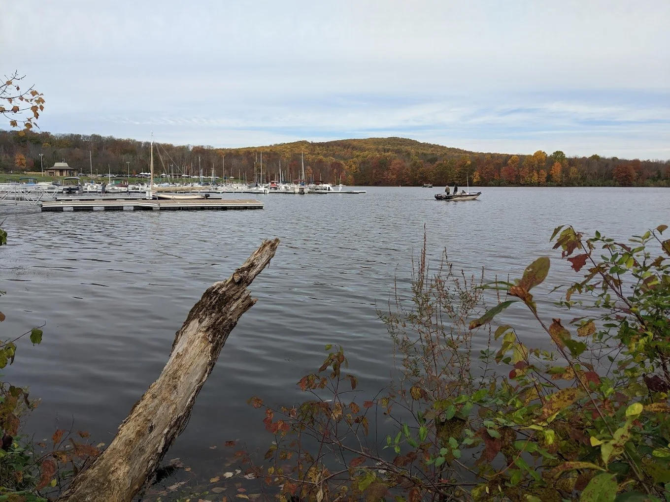 Bird Walk at Nockamixon State Park
