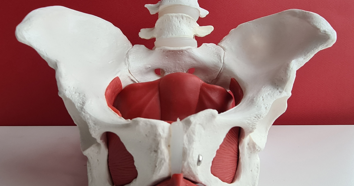 Postmenopausal Pelvic Health: A 6-Week Small Group Series