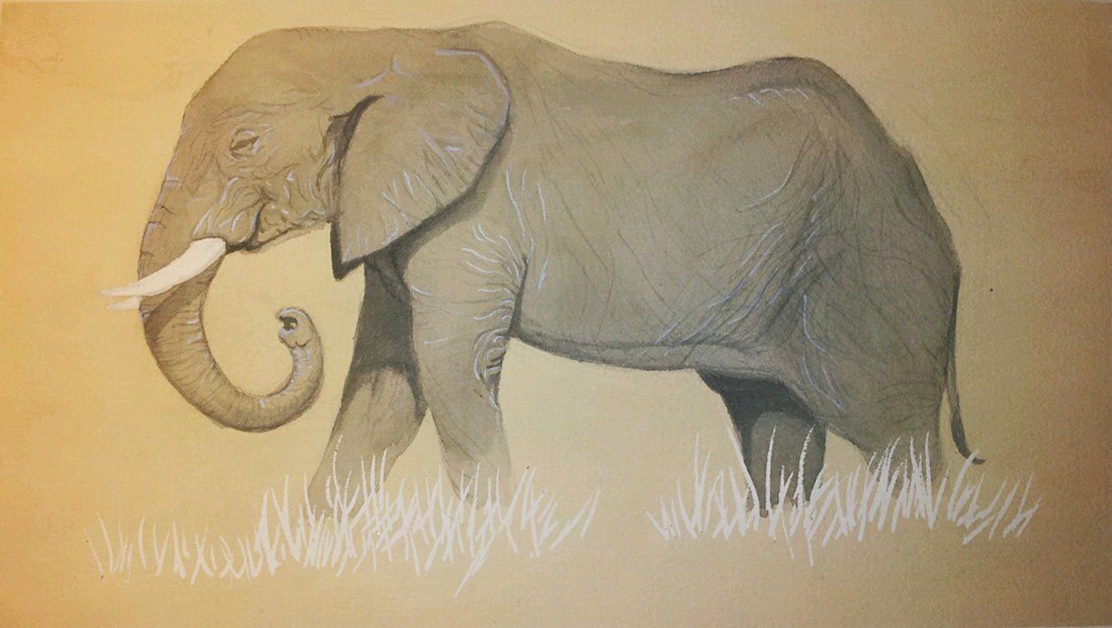 Elephant (2).jpg