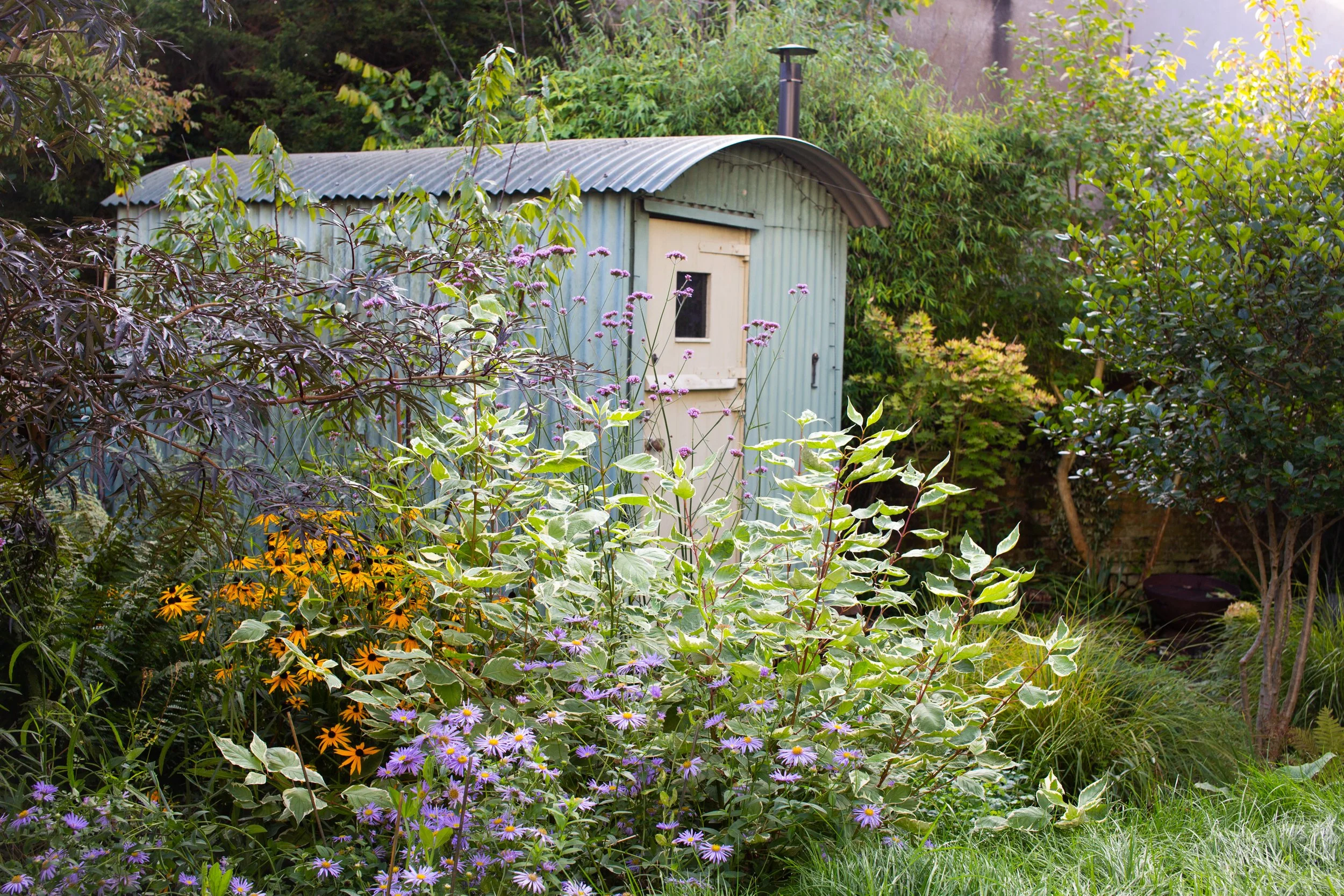 You should ditch your lawn 