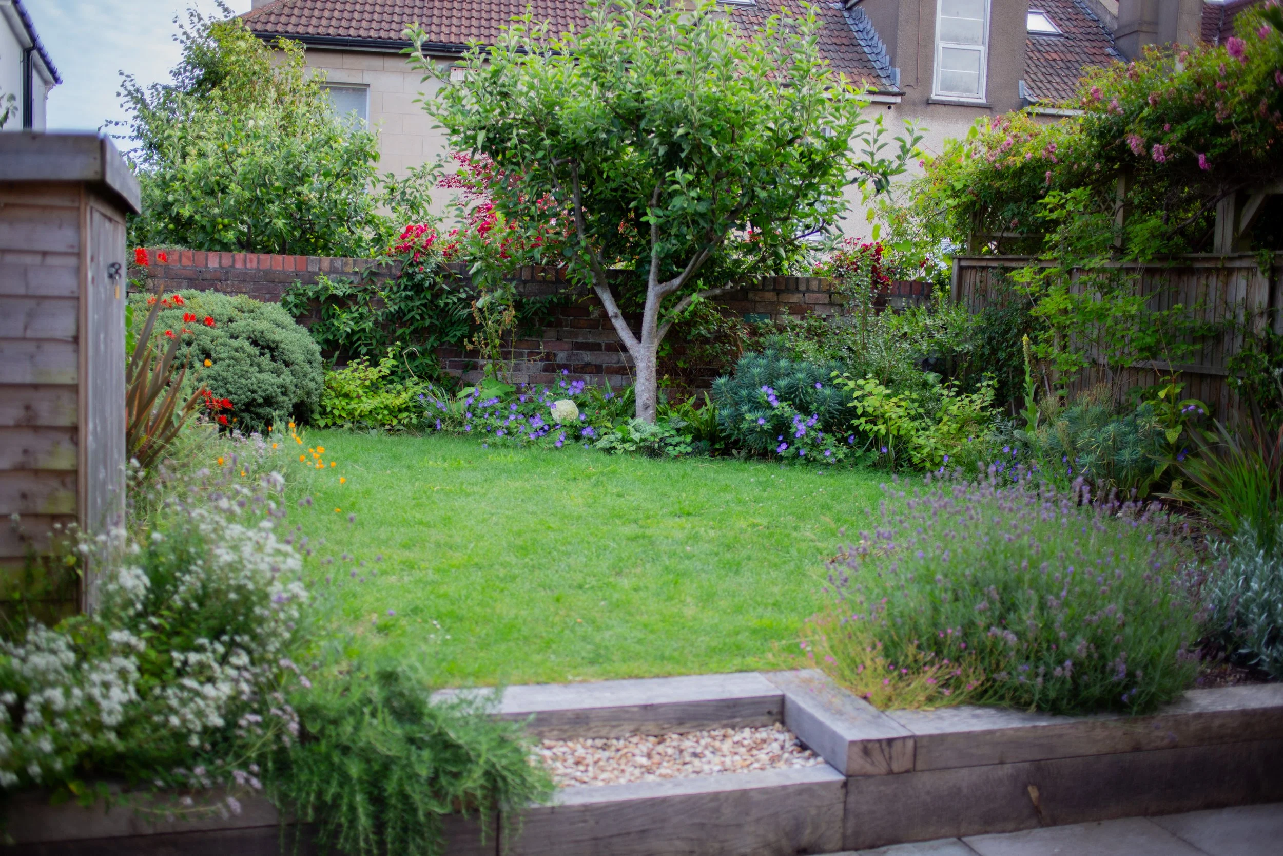 Drought-tolerant Bishopston garden