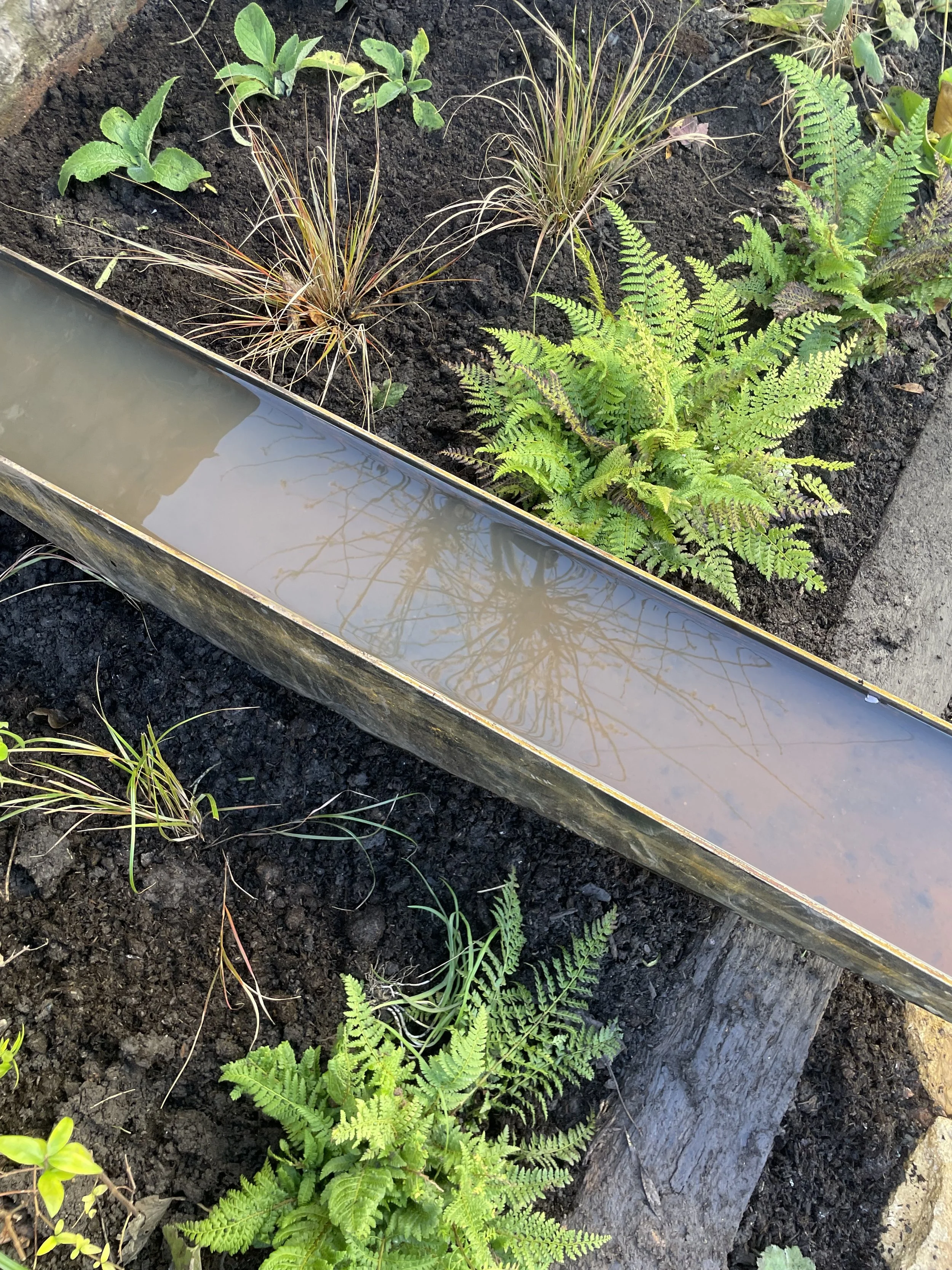 Rill with wildlife pond and bog garden