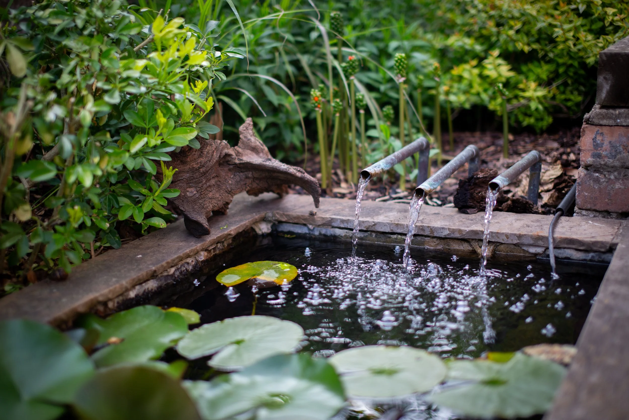 Chic nature-friendly garden