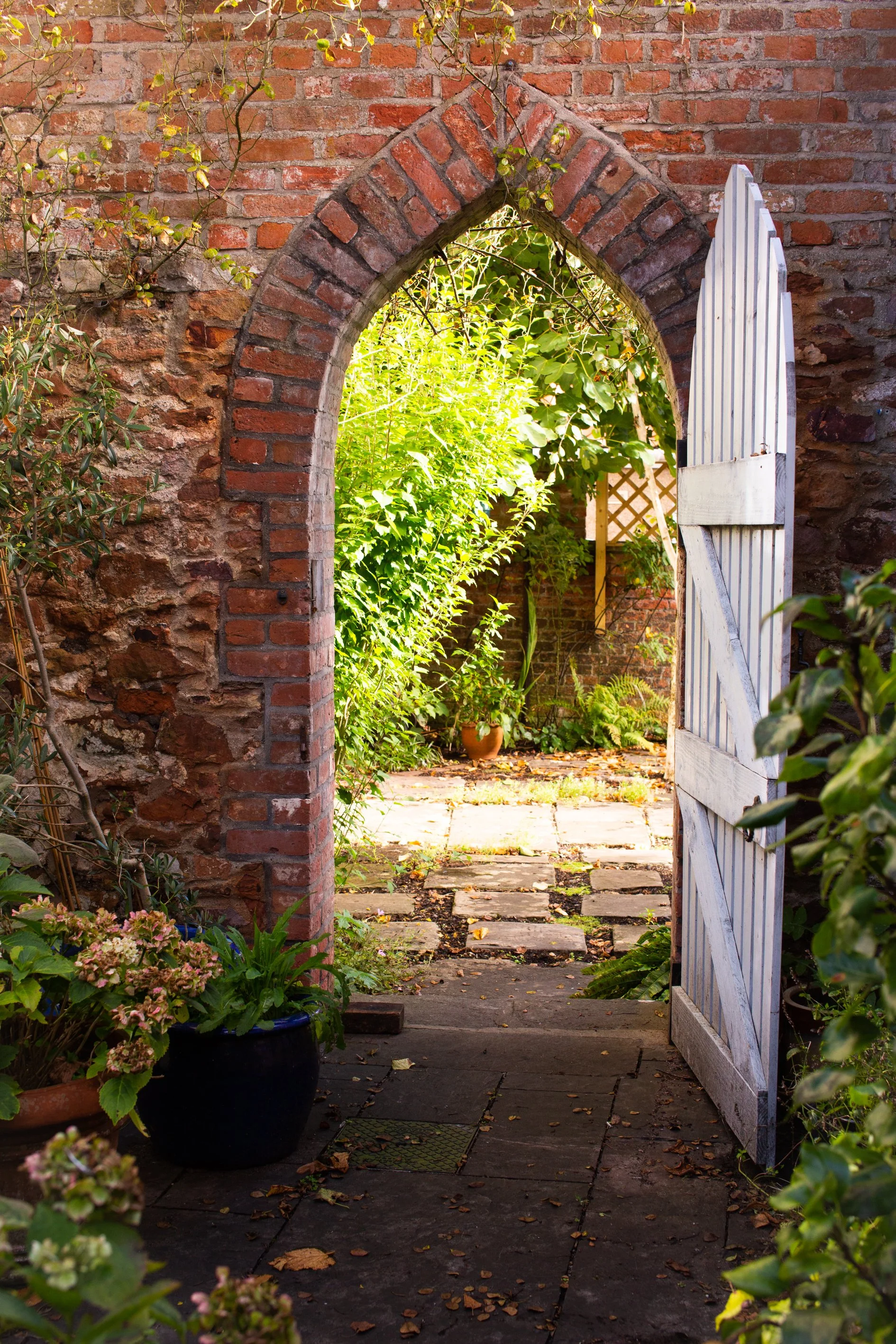 One-hour online consultation