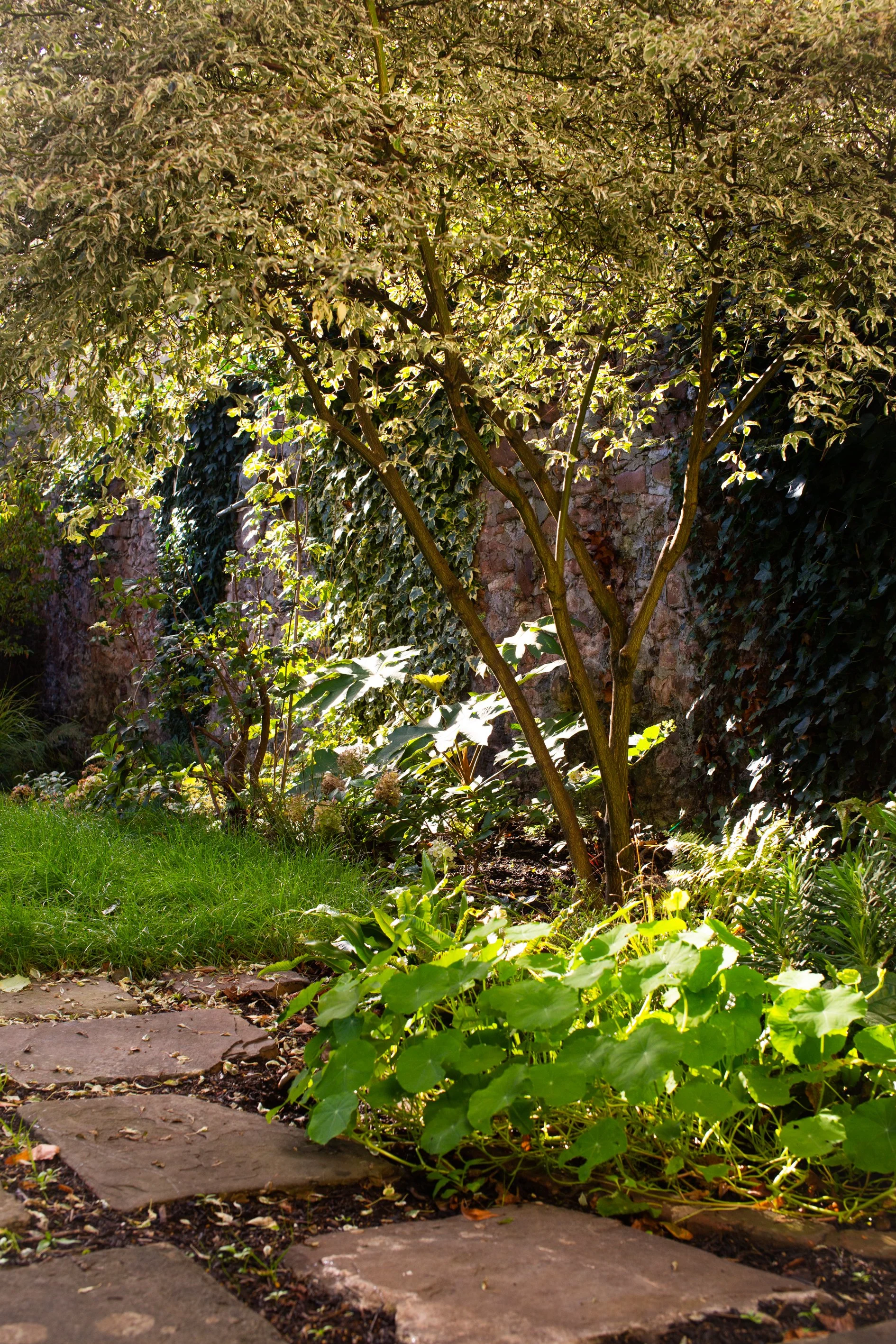 Garden maintenance masterclass