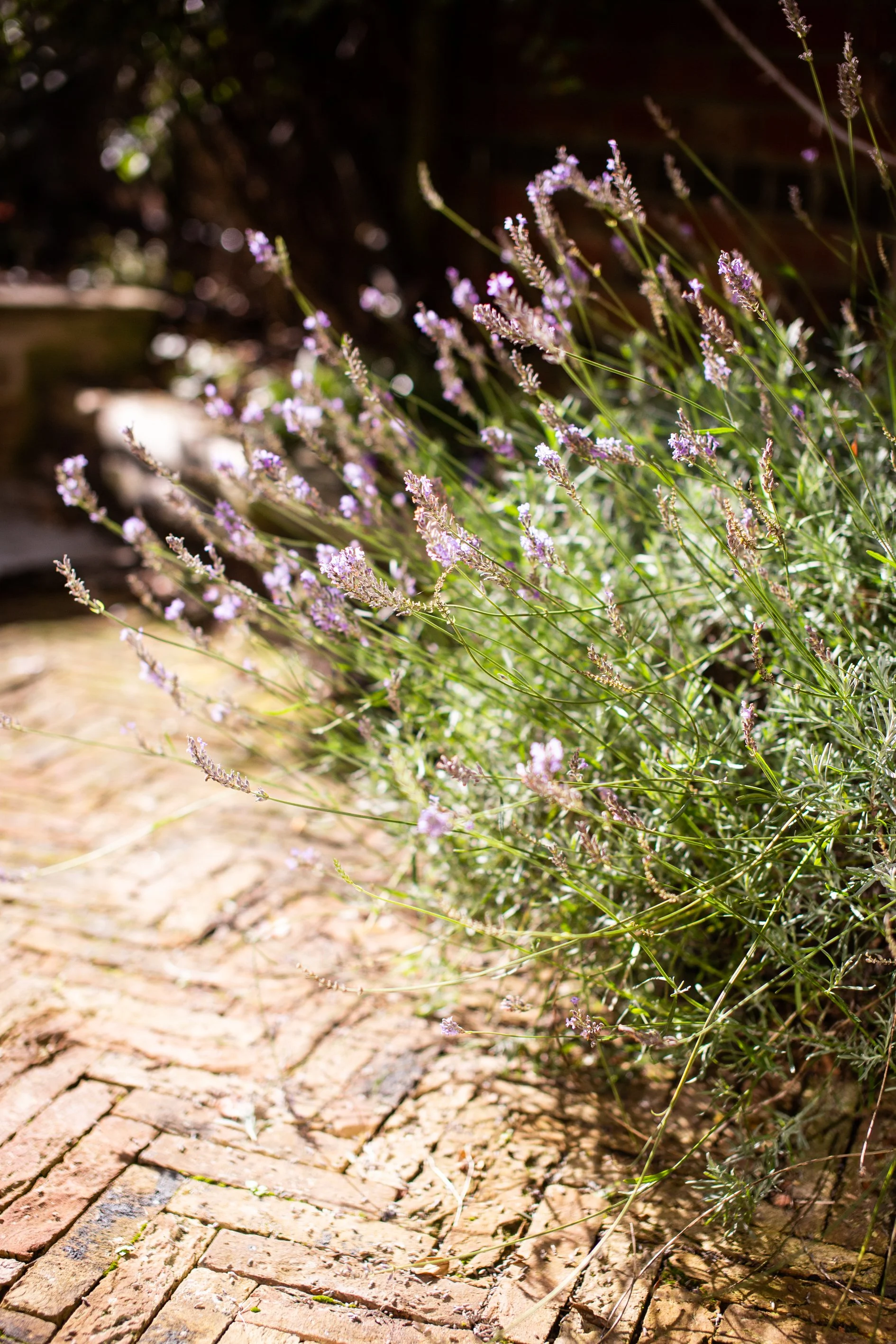 Garden design masterclass