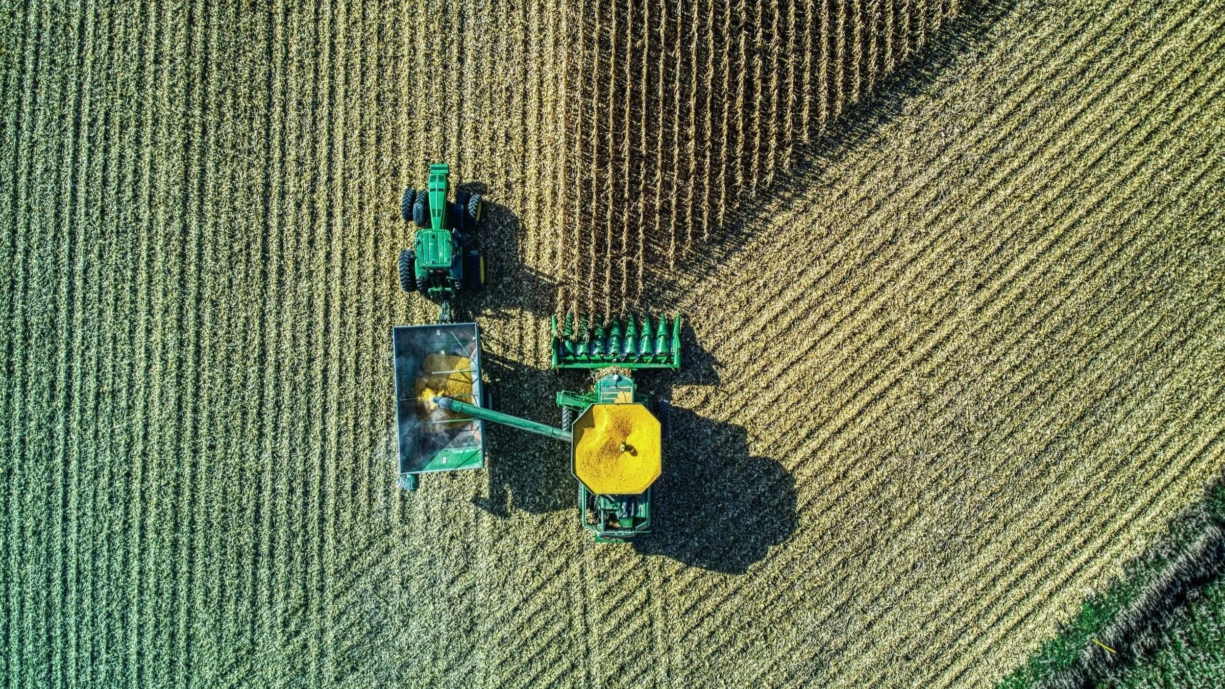 Between Traceability and Tradability: How Regulation is Reshaping Agri-Commodity Business Models