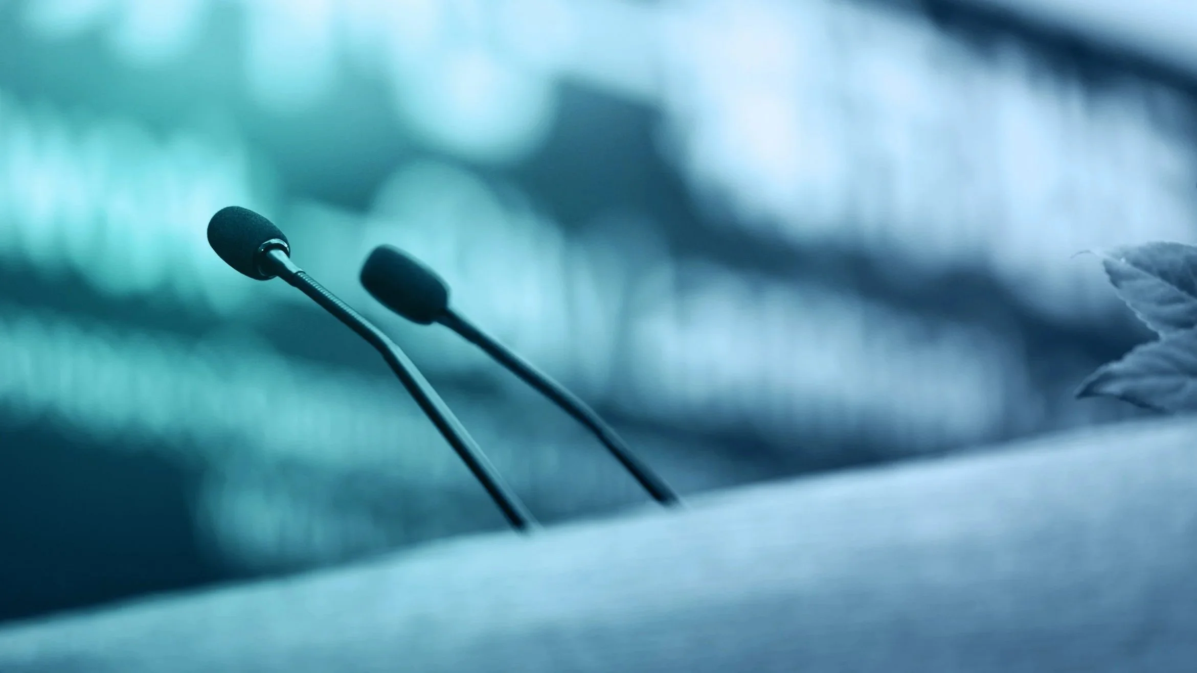 The Evolution of Advisor Networks