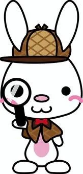 The Great Bunny Detective