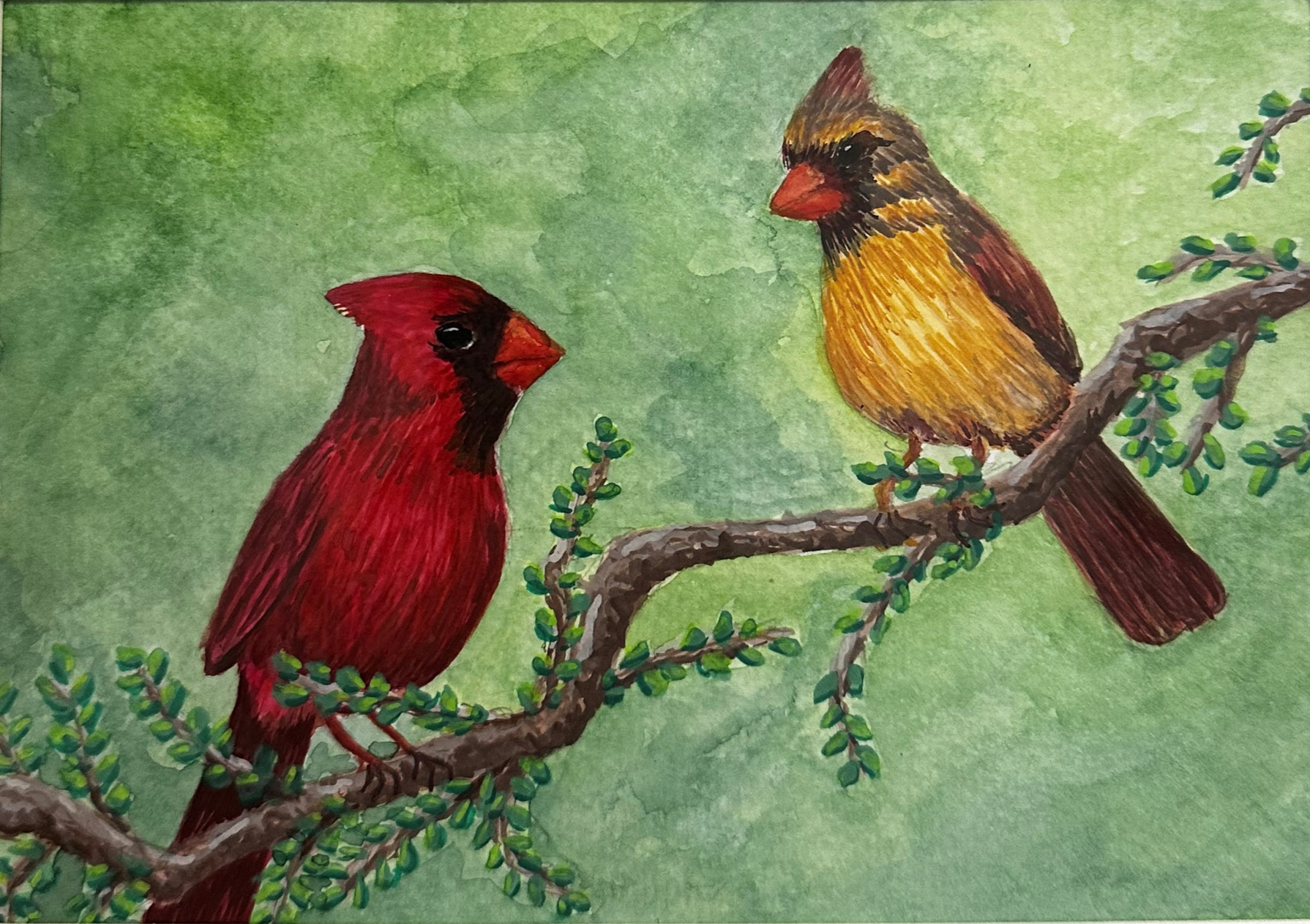 Male and Female Cardinal