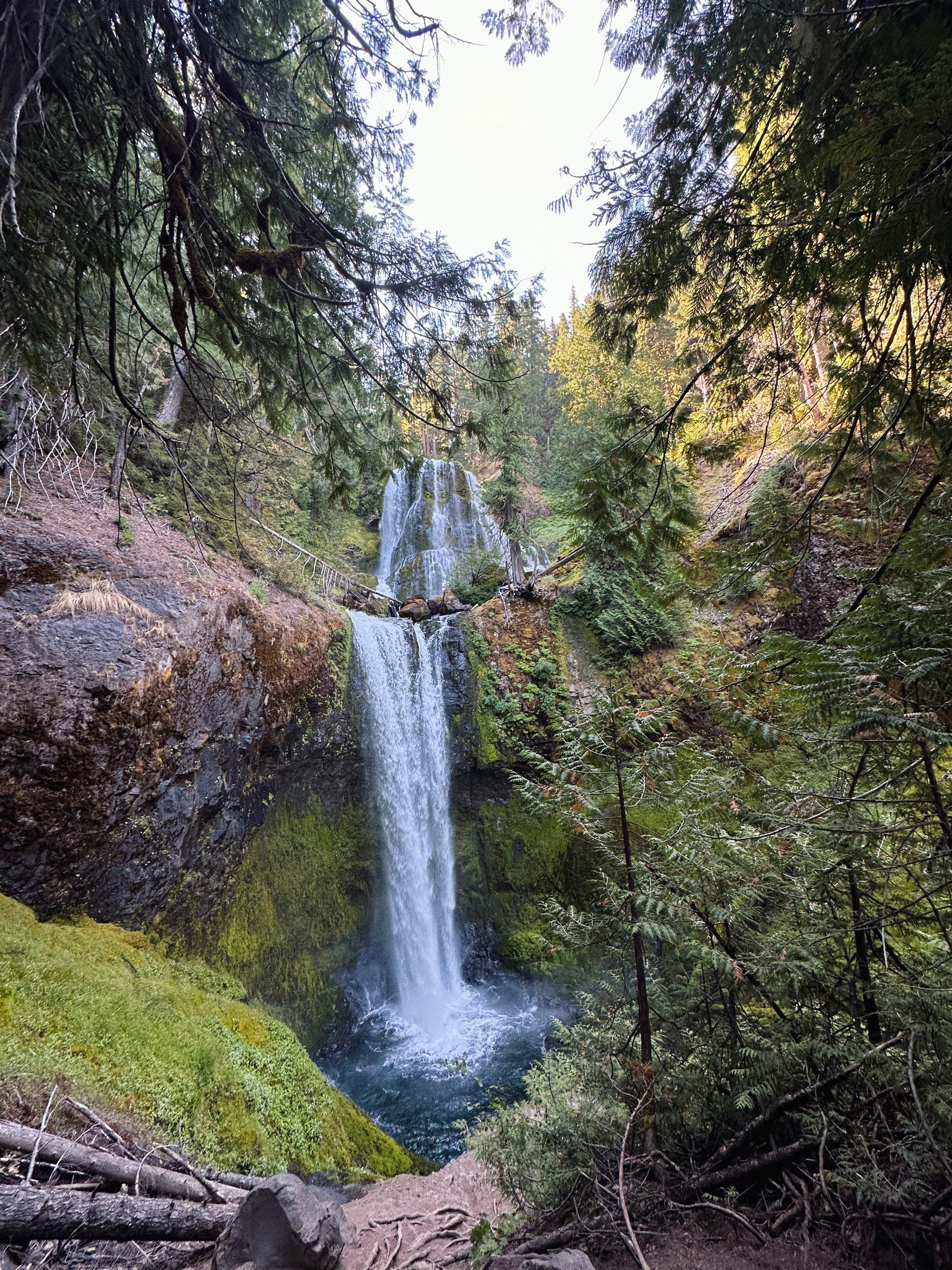 The Washington side of the Columbia River Gorge