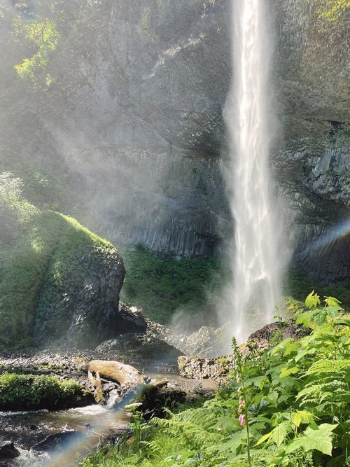 The Oregon side of the Columbia River Gorge