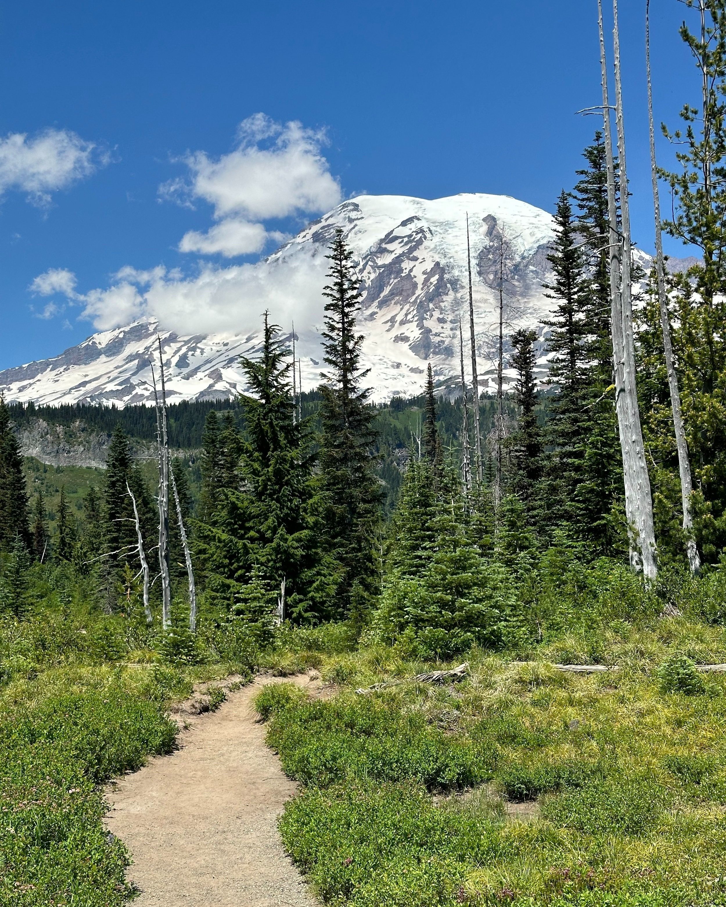 Mount Rainier National Park