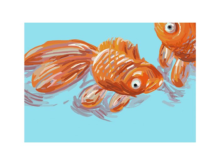 rachelrene_Goldfish detail_2.jpg