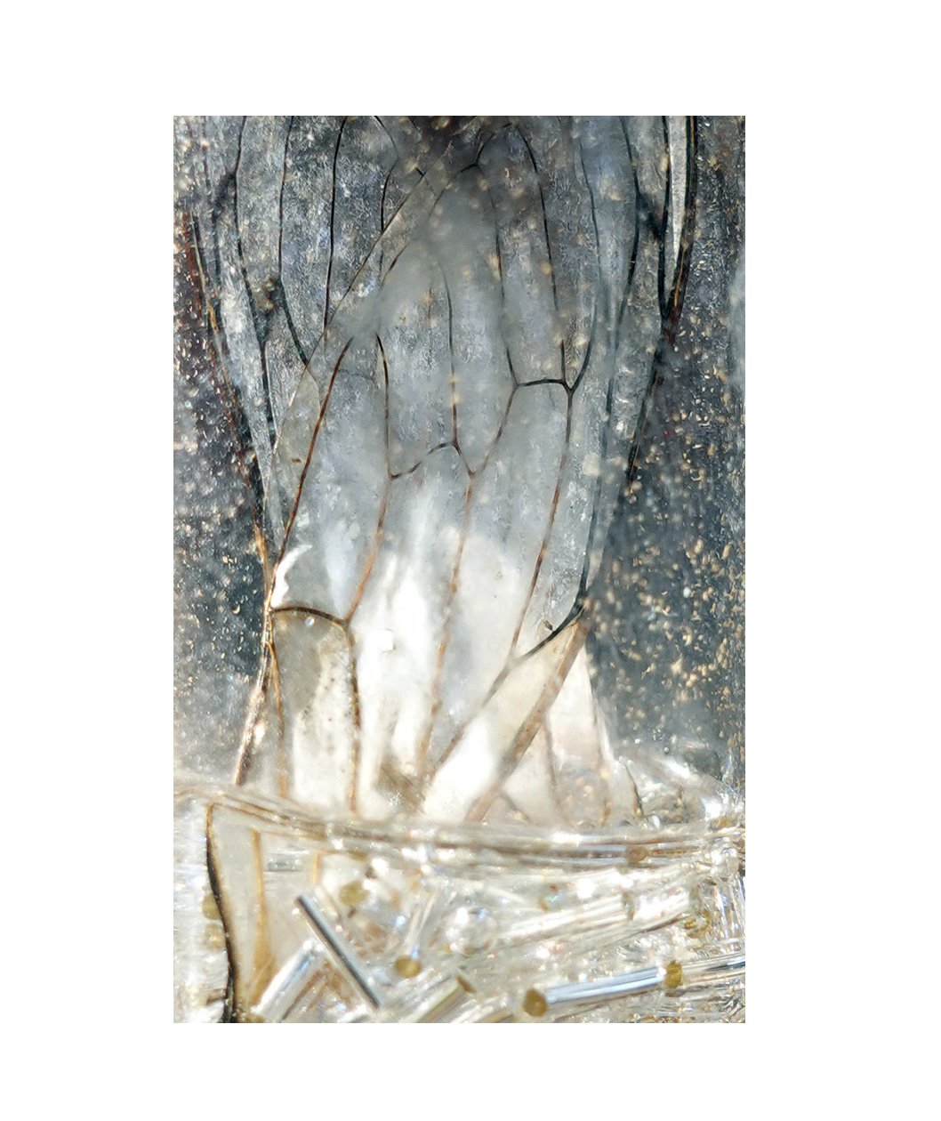 detail_med_resin bottle dragonfly wings by rachel rene.jpg