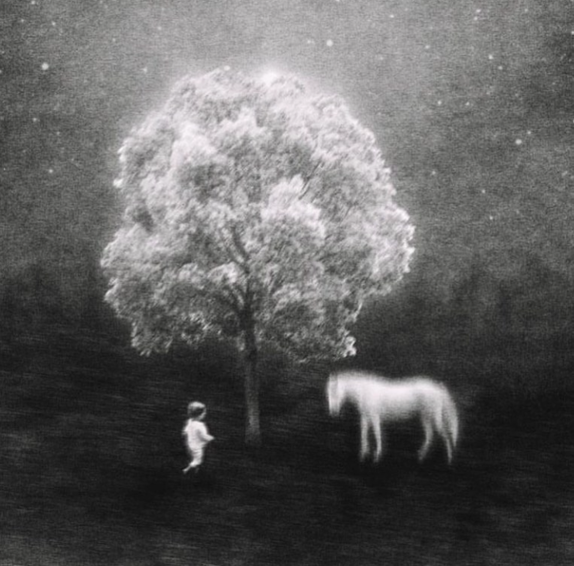 Schwarz Weiß Gemälde vonLaura Makabresku . Ein heller Baum unter dem Sternenhimmel, rechts ein helles pferd von links kommt ein kleiner Mensch freudig gerannt.