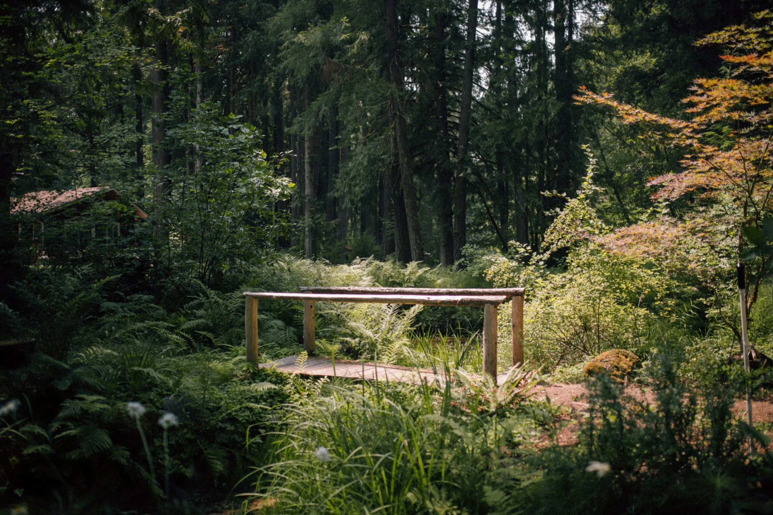 Moorea+Steve_Wedding_7-29-87 (1).jpg